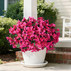 Faux Bougainvillea Artificial Flowers Plants for Outdoors, 4 Bundles Spring Fake Outdoor Flowers Silk Bougainvillea for Outside UV Resistant Realistic for Porch Patio Window Planter Garden Home, White