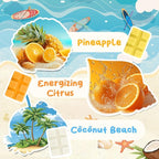 SCENTORINI Wax Melts, Scented Wax Cubes for Wax Warmers, Summer Scent, Coconut Beach, Pear Blossom, Cherry, Cucumber Melon, Pineapple, Energizing Citrus, 6 Pack