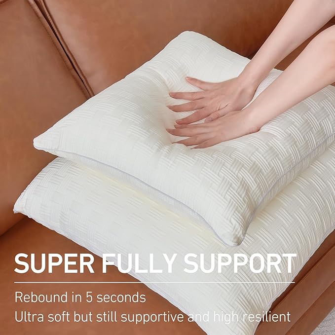 Leeden 24x24 Pillow Inserts Set of 2 - Decorative 24 Inch Throw Pillow Insert, Soft Fluffy Square Throw Pillows for Couch Bed, Beige Couch Pillow Insert Pair