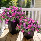 4 Pcs Artificial Fake Petunia Flowers for Outdoor Decoration, Faux Silk Petunias Flower for Spring UV Resistant Realistic Plants for Garden Balcony Yard Porch Indoor Decor(Fuchsia Lotus)
