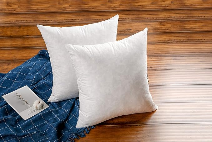 JA COMFORTS 24×24 Premium Goose Down Feather Throw Pillow Inserts(Set of 2)-5% Down Filling,High Filling Weight,250 TC Cotton Cover, Square, White