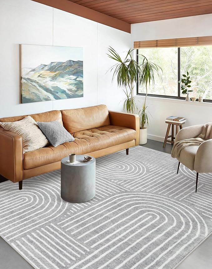 Lahome Abstract Area Rug 5x7,Soft Washable Rugs for Living Room Ultra-Thin Non Slip Gray Rugs for Bedroom, Throw Rug Carpet for Dining Room Office Playroom(5'x7',Gray)