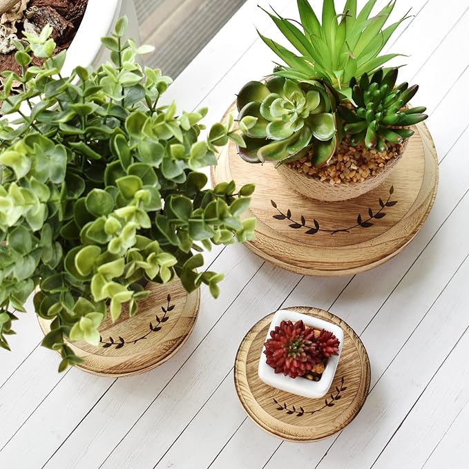 MOOCA 3 Pcs Set Stackable Round Wooden Display Riser, Small Wood Risers for Decor, Pedestal Stand for Home Kitchen, Collection Display, Showcase, Garden and Store