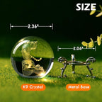 IFOLAINA 3D Tiger Crystal Ball Tiger Figurines in Crystal Ball 60mm Decor White Tiger Collectibles Decorative Globes Gift Glass Sphere Home Decor with Stand, Clear
