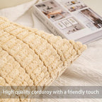 Aegero Pack of 2 Corduroy Decorative Throw Pillow Covers 26x26 InchSoft Striped Pillow Covers Modern Farmhouse Home Decor for Sofa Living Room Couch Bed（Light Brown）