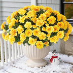 HyeFlora Artificial Fake Flowers Plants for Spring Outdoor Outside Decor, Faux Silk Yellow Camellia UV Resistant Realistic for Planter Front Door Porch Patio Balcony Decoration, 3 Large Bundles
