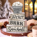 Moucuny 4 Pcs Winter Table Decorations Winter Tiered Tray Decor Christmas Table Centerpiece Rustic Decorative Snowball Snow Bucket Block Sign Farmhouse Christmas Decorations for Home Kitchen Shelf