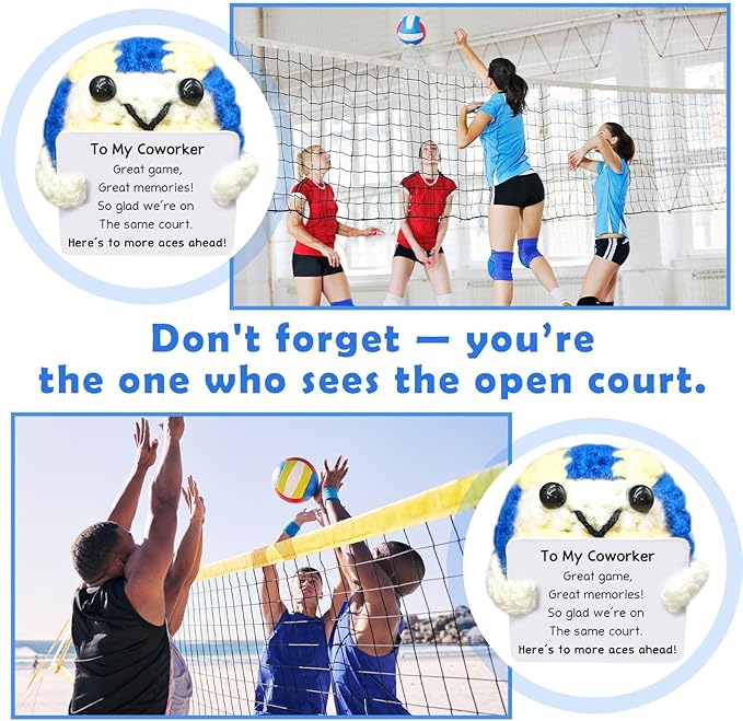 Handmade Collectible Volleyball Desk Decor - Funny Office Gift for Colleague,Coworker Appreciation Gift,Team Building Gifts for Volleyball Fans,Professional Home & Office Accent