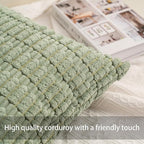 Aegero Pack of 2 Corduroy Decorative Throw Pillow Covers 12x20 InchSoft Boho Striped Pillow Covers Modern Farmhouse Home Decor for Sofa Living Room Couch Bed（Sage Green）
