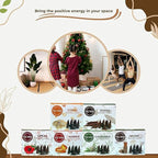 TRUMIRI Exotic Incense Cones - Variety Pack - Total 60 Cone Incense (6 Scents x 10 Conos) - Copal, Oud, Musk, Amber - Cone Incense Scents - Insense Cones - Incent Cone