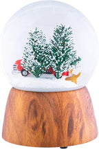 Red Truck With Dogs Cherry Woodgrain 6 x 4 Resin and Metal Holiday Musical Snow Globe