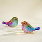 H&D HYALINE & DORA Set of 2 Crystal Birds Figurine Bird Gifts for Women Men Bird Lovers Handmade Glass Animal Figurines for Home Shelf Decor (Multicolor)