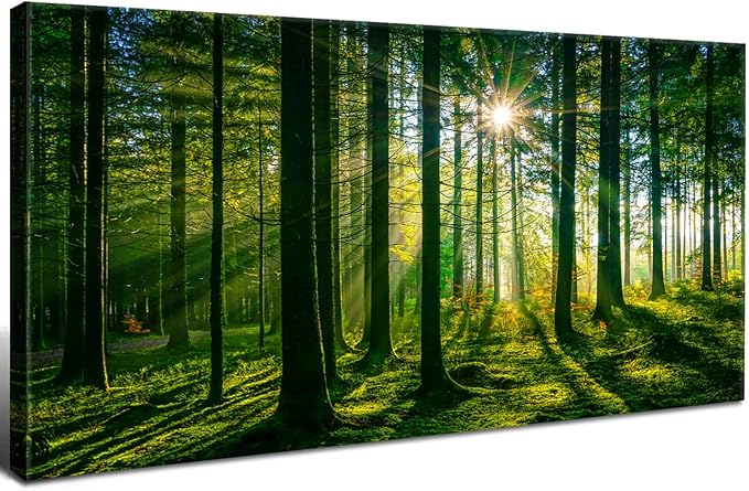 AIYISU Green Forest Canvas Wall Art Sunshine Forest Pictures Wall Decor Nature Sunlight Scenic Painting Poster Spring Forest Trees Prints Artwork for Living Room Bedroom Office Home Decorations 20x40