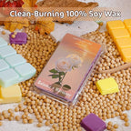 SCENTORINI Wax Melts, Soy Wax Cubes for Relax Healing, Summer Scents Wax Tarts for Warmer, Highly Scented Wax Melts Gift Set for Home Fragrance, 8 Pack