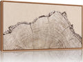 SIGNINART Large Tree Ring Framed Canvas Wall Art, Rustic Beige Nature Wooden Wall Decor, Neutral Wood Stump Artwork, Modern Art Prints for Bedroom Living Room Office 20"x40"
