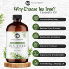 NaturoBliss Essential Oil with Glass Dropper - 100% Pure and Natural - Essential Oils for Diffuser, Aromatherapy, Soap and Candle Making, Tea Tree Essential Oil, Tea Tree Oil, 4 Fl Oz