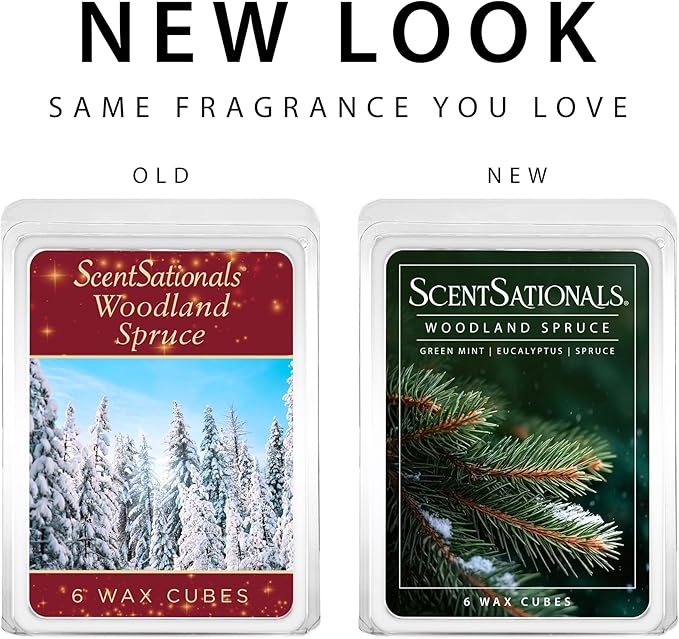 Scentsationals Woodland Spruce Scented Wax Melts - Amber Birch, Eucalyptus, & Sage, 10oz (24 Cubes)