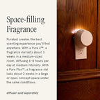 Pura x Studio McGee Home Scent Refill - Smart Air Diffuser - Long-Lasting Luxury Fragrance per Refill - Home Essential - Clean & Safe Diffuser Fragrance - 2 Pack, Violet Fig