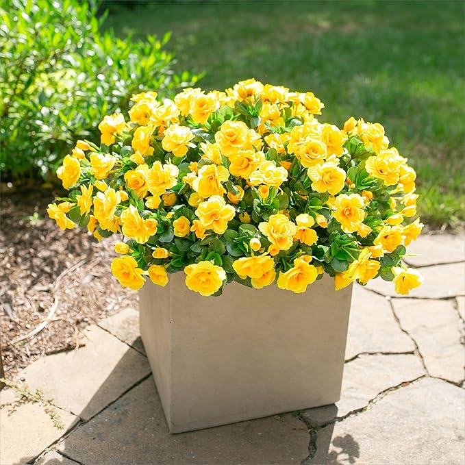 HyeFlora Artificial Fake Flowers Plants for Spring Outdoor Outside Decor, Faux Silk Yellow Camellia UV Resistant Realistic for Planter Front Door Porch Patio Balcony Decoration, 3 Large Bundles