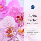 Capri Blue Room Spray - Aloha Orchid Air Freshener Spray with Notes of Orchid, Jasmine and Gardenia - Air Fresheners for Home - Floral Room Scents (3.5 oz)
