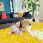 OLANLY 5x8 Machine Washable Large Area Rugs for Living Room, Bedroom, Soft Fluffy Shaggy Bedside Rug, Indoor Floor Carpet for Kids Girls and Boys, Dorms, Nursery, Home Decor Aesthetic, Yellow
