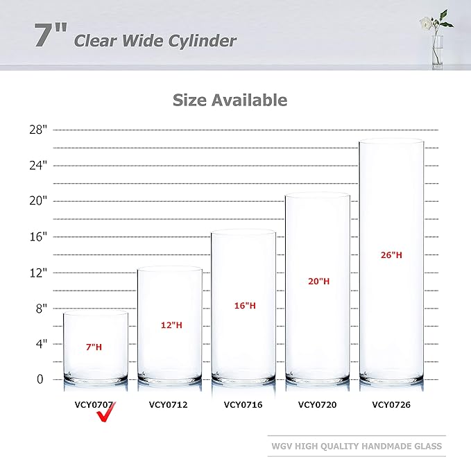 WGV Cylinder Vase, Width 7", Height 7", Clear Wide Large Diameter Flower Glassware, Floral Container, Planter Terrarium for Wedding Party Event, Home Accent Decor, 1 Piece