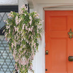 2 Pcs Artificial Lavender Teardrop Rattan, Spring Summer Front Door Hanging Floral Swags for Wall Basket Filler, Garden Home Easter Decoration-28.7in(Pink)