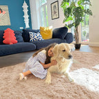 OLANLY 7x10 Machine Washable Large Area Rugs for Living Room, Bedroom, Soft Fluffy Shaggy Bedside Rug, Indoor Floor Carpet for Kids Girls and Boys, Dorms, Nursery, Home Decor Aesthetic, Beige
