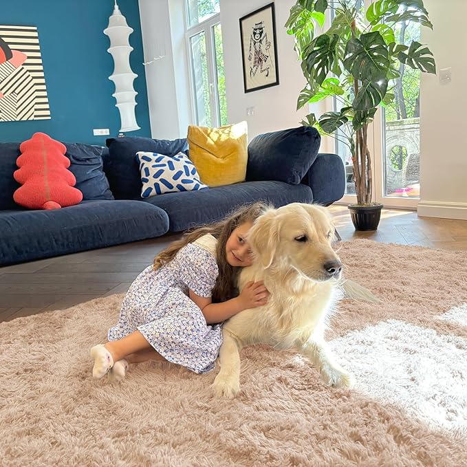 OLANLY 7x10 Machine Washable Large Area Rugs for Living Room, Bedroom, Soft Fluffy Shaggy Bedside Rug, Indoor Floor Carpet for Kids Girls and Boys, Dorms, Nursery, Home Decor Aesthetic, Beige