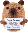 Emotional Support Capybara Positive Crochet Plush with Positive Messages for Adult Women Cute Pickle Office Decor Birthday Gifts for Best Friends (Capybara)