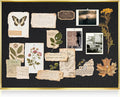 Linen Bulletin Board 24" x 18", Black Fabric Pin Board with Gold Aluminum Frame, Decorative Vision Board for Home Office, Bedroom & Dorm Wall Decor, Includes 10 Push Pins