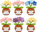 Wavwavw 6 Pcs Christian Gift for Women Inspirational Religious Gifts Positive Faith Scripture Crochet Handmade Bible Verse Crochet Doll with Prayer Card for Vbs Church(Forget Me Not)