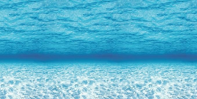 Fadeless Bulletin Board Paper, Fade-Resistant Paper for Classroom Decor, 48” x 12’, Under the Sea, 1 Roll