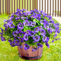 Artificial Flowers for Outdoors Fake Plants, 12pcs Fake Flowers Artificial Plants Outdoor UV Resistant,Silk Faux Flowers Shrubs Greenery Plants for Porch Garden Patio Window Box Decor