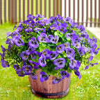 Artificial Flowers for Outdoors Fake Plants, 12pcs Fake Flowers Artificial Plants Outdoor UV Resistant,Silk Faux Flowers Shrubs Greenery Plants for Porch Garden Patio Window Box Decor