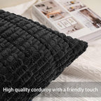 Aegero Pack of 2 Corduroy Decorative Throw Pillow Covers 16x16 Inch Soft Striped Pillow Covers Modern Farmhouse Home Decor for Sofa Living Room Couch Bed（Black）