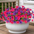 12 Bundles Morning Glory Artificial Flowers for Outdoor Decoration UV Resistant Fake Plastic Plants Artificial Greenery for Indoor Outdoor Garden Patio Window Box Home Decor