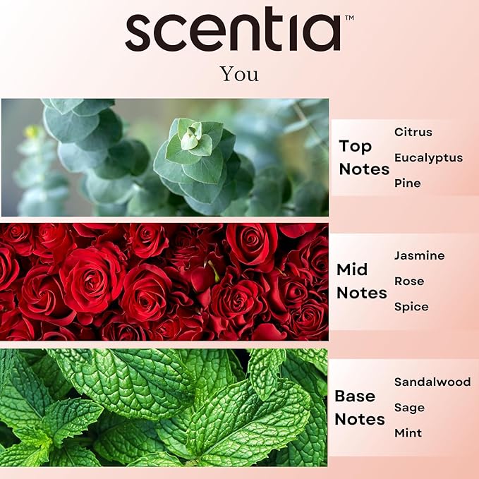 Fierce-Inspired Diffuser Oil - Scentia You Fragrance Oil Perfume Dupe - 20 mL, 0.67 Fl oz Diﬀusers and Humidifiers - A and F Inspired Essential Scented Oil - Best for Aromatherapy, Thanksgiving Gift