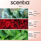 Fierce-Inspired Diffuser Oil - Scentia You Fragrance Oil Perfume Dupe - 20 mL, 0.67 Fl oz Diﬀusers and Humidifiers - A and F Inspired Essential Scented Oil - Best for Aromatherapy, Thanksgiving Gift