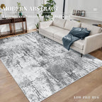 Ciicool Abstract Area Rug Indoor, 3x5 Washable Entryway Rug, Modern Soft Throw Rug with Non-Slip Backing Ideal for Bedroom Living Room Entrance Kitchen, Non-Shedding Low-Pile Floor Carpet Doormat Gray