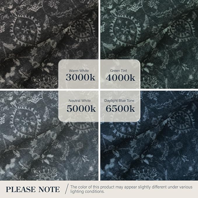 Lahome Washable Black Living Room Rug 6x9,Boho Dining Room Rugs for Under Table,Soft Stain Resistant Thin Carpets for Office Decor,Vintage Dark Carpet for Bedroom