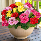 Artificial Geraniums Flowers for Outdoors Spring Decor, 4 Bundles UV Resistant Fake Geraniums Flowers Silk Faux Plants for Home Planter Gardens Table Patio Porch Indoor Cemetery Summer Decor(Color)
