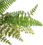 Northlight Fern and Succulents Artificial Spring Teardrop Swag - 28"