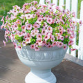 Artificial Flowers for Outdoors Daisy 12 Bundles for Home Decoration, Faux Flower Fake Plants Outside Decoration with Eucalyptus UV Resistant for Planter Porch Patio Yard Garden Pink