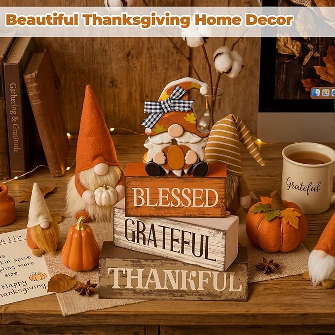 Lineshading 4 Pcs Wooden Farmhouse Tabletop Decor Rustic Home Tiered Tray Decor Decorative Farmhouse Table Decoration Home Block Signs Gift(Blessed Gnome)