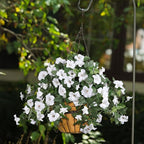HyeFlora Artificial Flowers for Outdoors 2PCS Spring Faux Morning Glory Look Real Silk Flowers for Outside Planter UV Resistant Fake Flowers for Home Garden Balcony Yard Porch Deco (White)