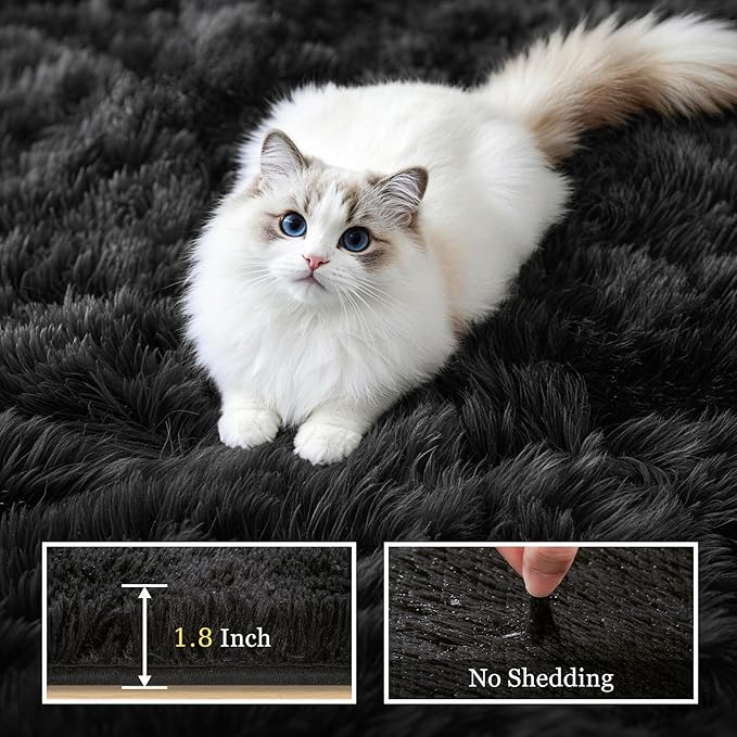 Fluffy 4x6 Area Rugs for Living Room Bedroom: Ultra Soft Shag Rug Non-Slip Non-Shedding Small Plush Bedside Rug Indoor Floor Carpets for Kids Room Playroom Entryway Nursery Dorms Home Decor Black