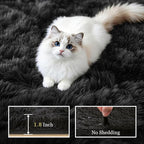Fluffy 4x6 Area Rugs for Living Room Bedroom: Ultra Soft Shag Rug Non-Slip Non-Shedding Small Plush Bedside Rug Indoor Floor Carpets for Kids Room Playroom Entryway Nursery Dorms Home Decor Black