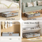 Yecaye Under Bed Storage with Wheels, 2 Pack Under Bed Storage Containers with Adjustable Dividers & Clear Window, Rolling Underbed Organizer Bins Drawers for Clothes, Shoes, Blankets, Grey