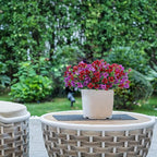 Artificial Faux Plants Flowers Outdoor Spring Summer Decoration, 12 Bundles Fake Silk Colorful Daisy Eucalyptus Realistic UV Resistant for Outside Home Planter Porch Patio Yard Decor (Red Purple)